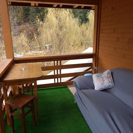 Pensiunea Aurora - Great Hostel วอยนาซา ภายนอก รูปภาพ