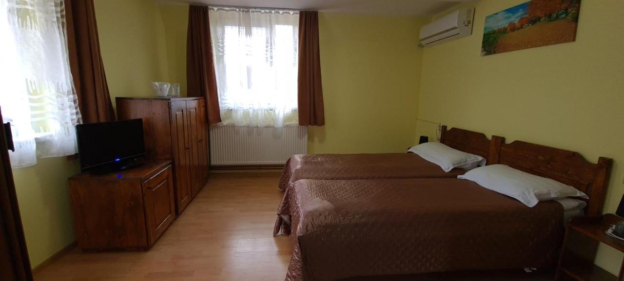 Pensiunea Aurora - Great Hostel วอยนาซา ภายนอก รูปภาพ