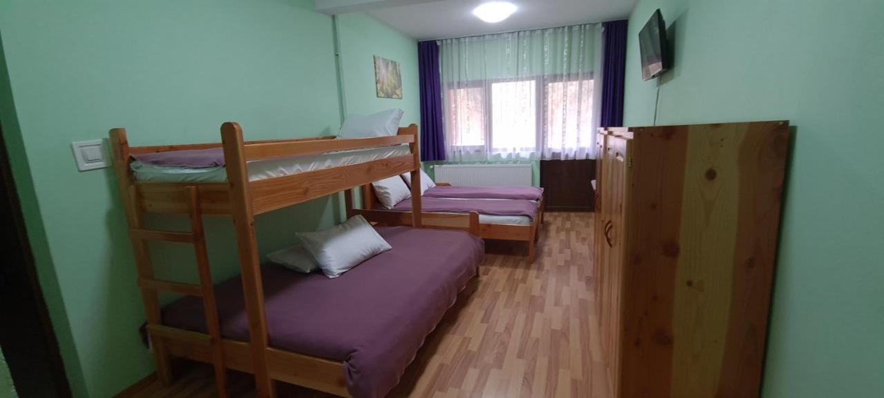 Pensiunea Aurora - Great Hostel วอยนาซา ภายนอก รูปภาพ