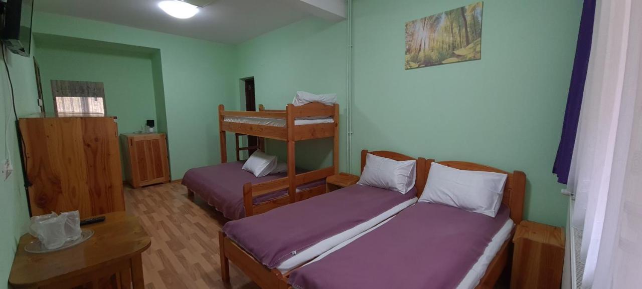 Pensiunea Aurora - Great Hostel วอยนาซา ภายนอก รูปภาพ
