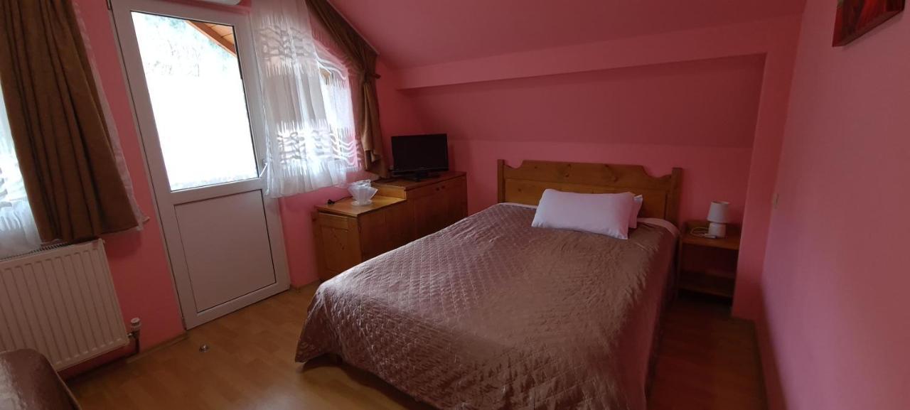 Pensiunea Aurora - Great Hostel วอยนาซา ภายนอก รูปภาพ