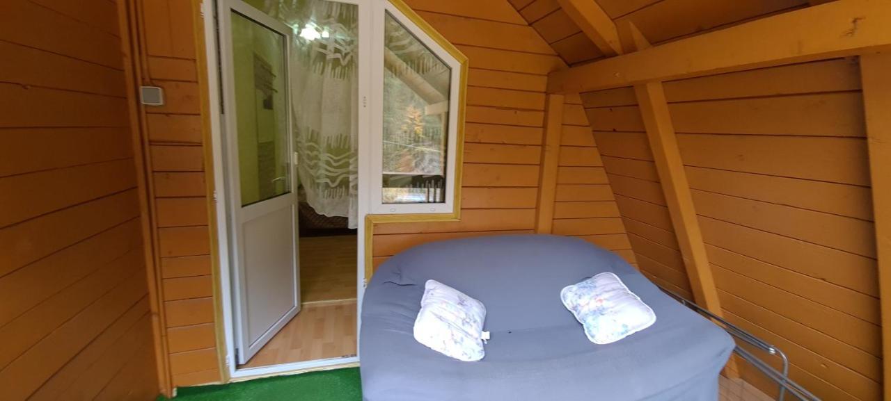 Pensiunea Aurora - Great Hostel วอยนาซา ภายนอก รูปภาพ