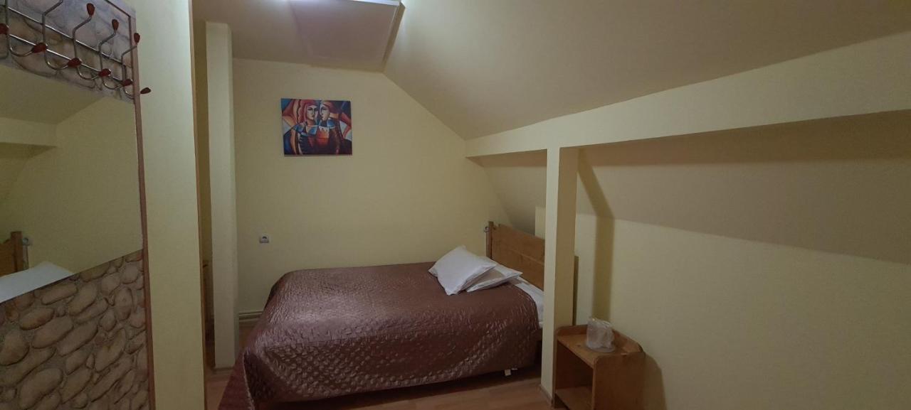 Pensiunea Aurora - Great Hostel วอยนาซา ภายนอก รูปภาพ