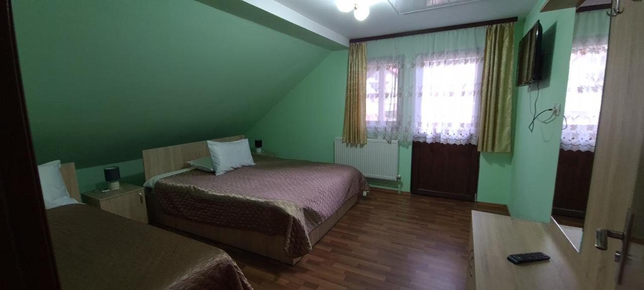 Pensiunea Aurora - Great Hostel วอยนาซา ภายนอก รูปภาพ