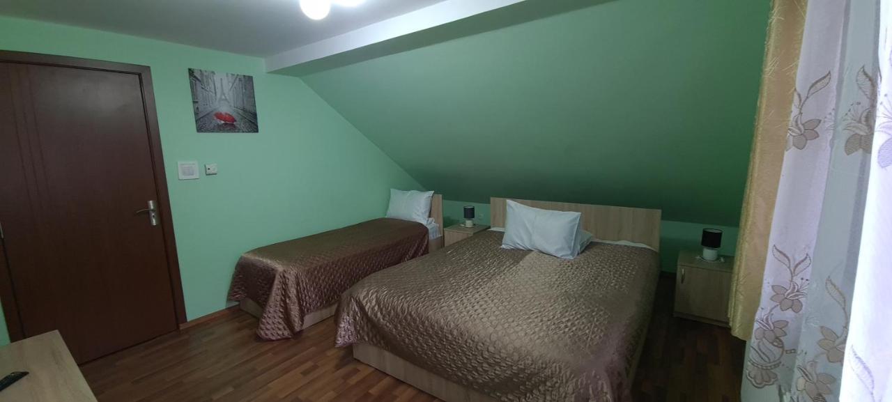 Pensiunea Aurora - Great Hostel วอยนาซา ภายนอก รูปภาพ
