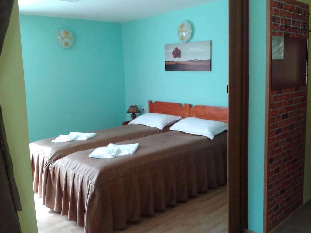 Pensiunea Aurora - Great Hostel วอยนาซา ห้อง รูปภาพ