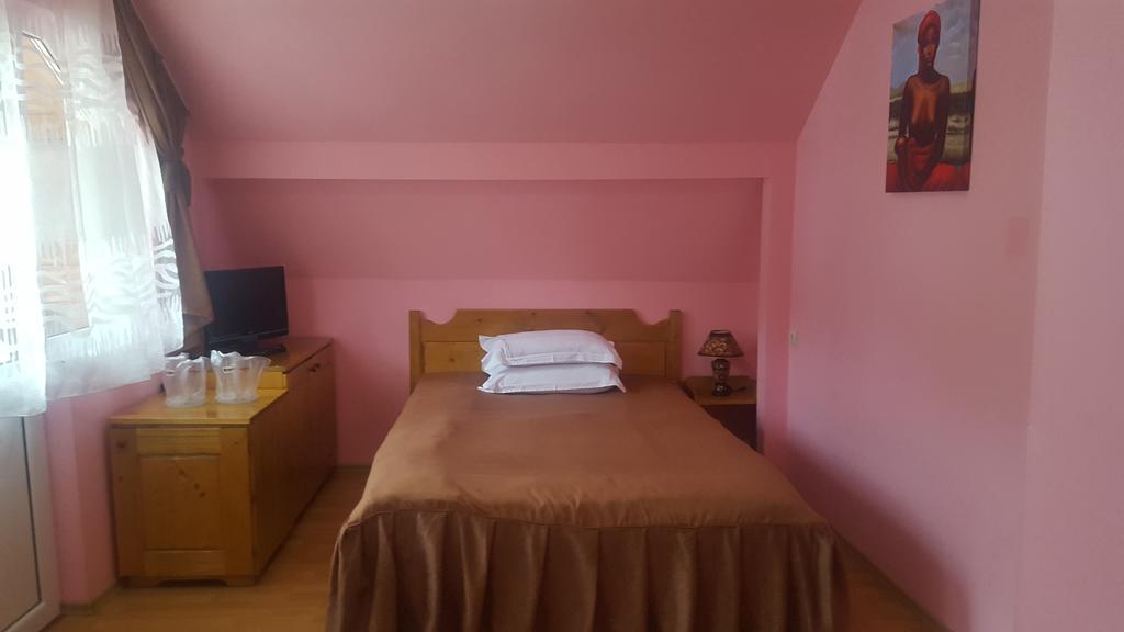 Pensiunea Aurora - Great Hostel วอยนาซา ภายนอก รูปภาพ